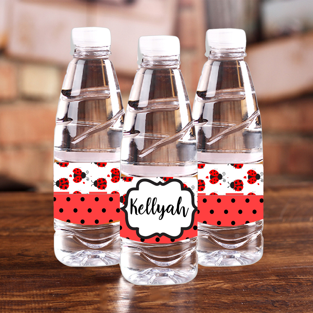 Personalised Ladybug Red Polka - Baby Food Mixer review and price